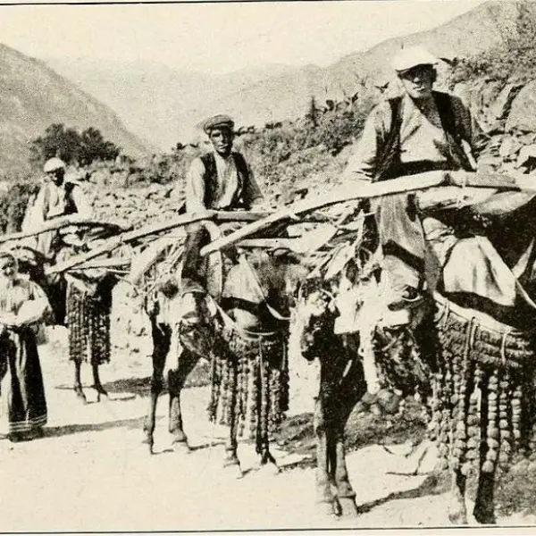 Travels in the Pyrenees 